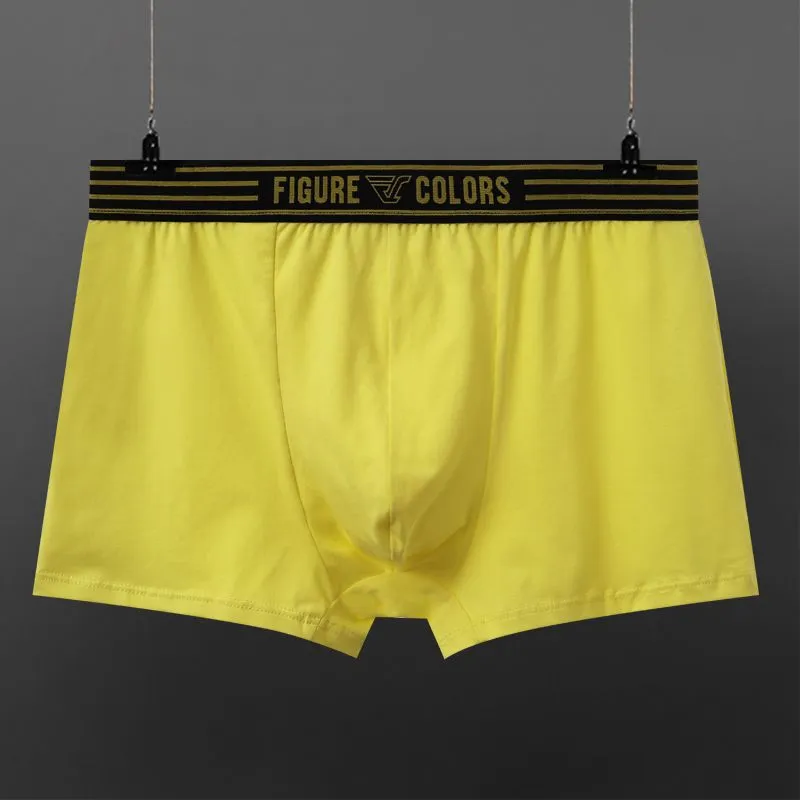 Figure Cotton Boxer Briefs