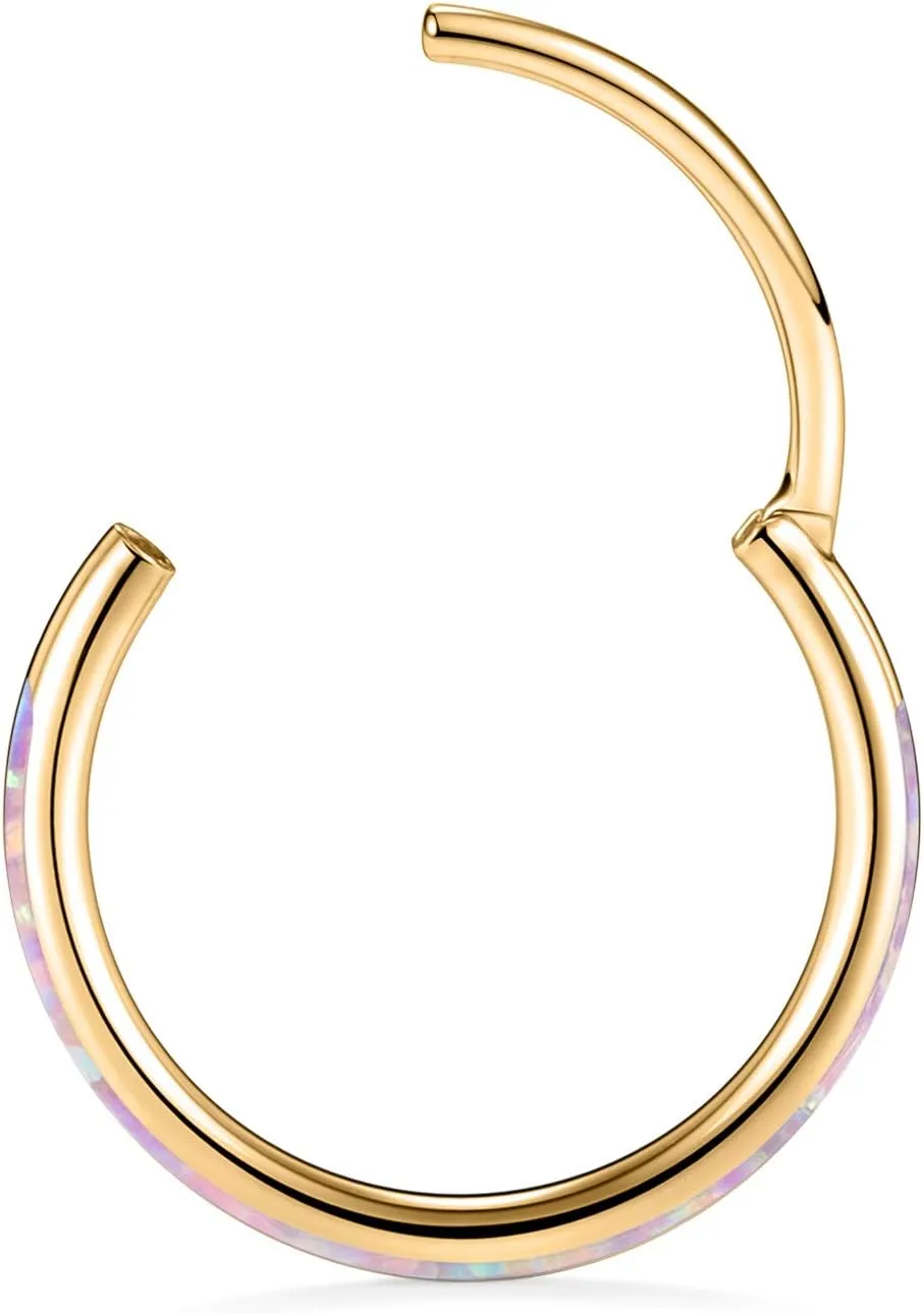 GAGABODY Conch Jewelry 20g 18g Septum Jewelry 16 Gauge Earrings Conch Hoop Daith Earrings Surgical Steel Lip Rings with Opal Paved Hinged Nose Rings Helix Rook Cartlidge Earrings Hoop