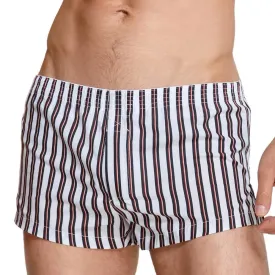 White Striped Boxer